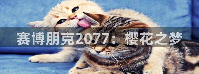 omofuns：赛博朋克2077：樱花之梦