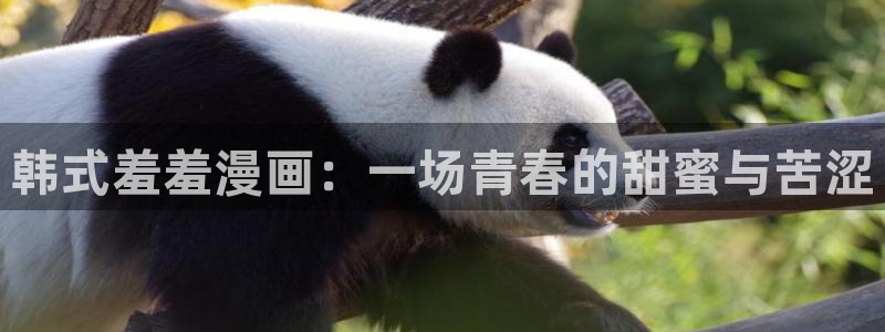 omofun网页版官网：韩式羞羞漫画：一场青春的甜蜜与苦涩