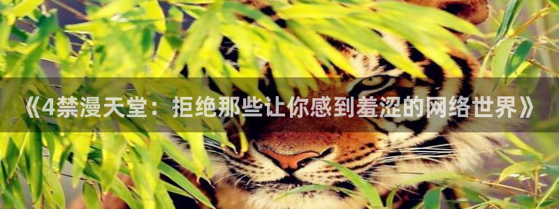 omofun动漫官网app下载：《4禁漫天堂：拒绝那些让你感到羞涩的网络世界》