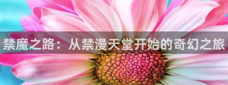 omofun网页版入口处：禁魔之路：从禁漫天堂开始的奇幻之旅