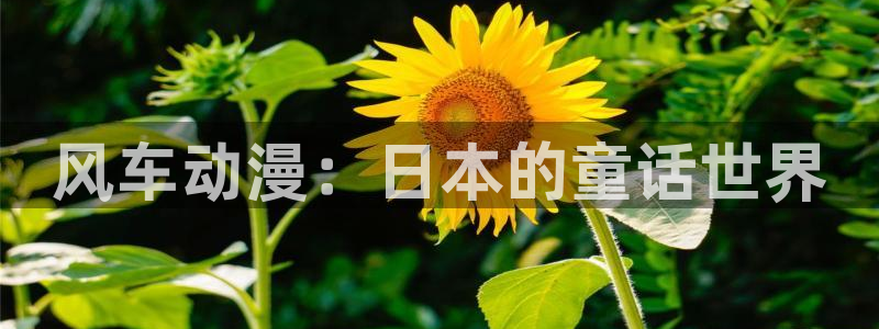 omofun下载方法：风车动漫：日本的童话世界
