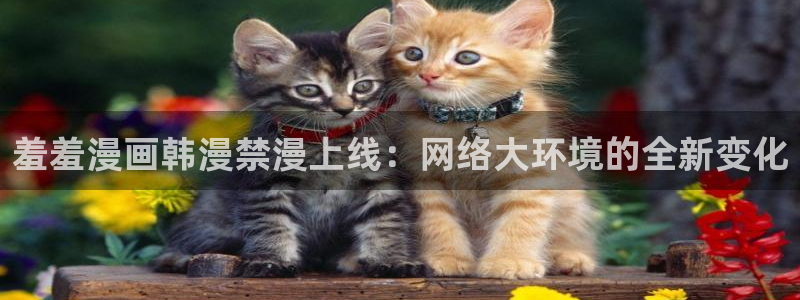 omofun动漫官网下载ios：羞羞漫画韩漫禁漫上线：网络大环境的全新变化