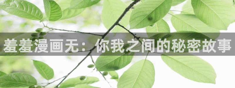 omofun怎么自签：羞羞漫画无：你我之间的秘密故事