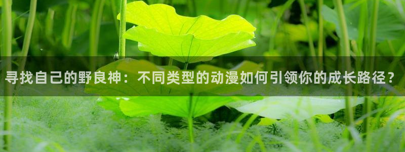 囧次元正版入口：寻找自己的野良神：不同类型的动漫如何引领你的成长路径？