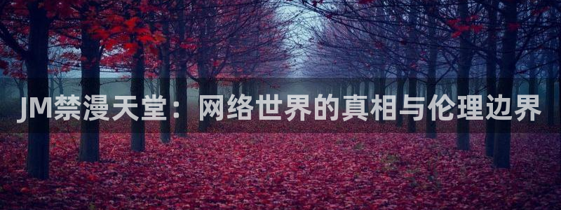 囧次元正版入口：JM禁漫天堂：网络世界的真相与伦理边界