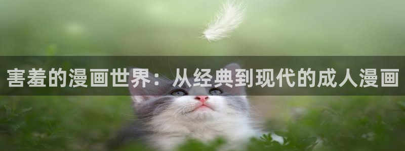 囧次元正版