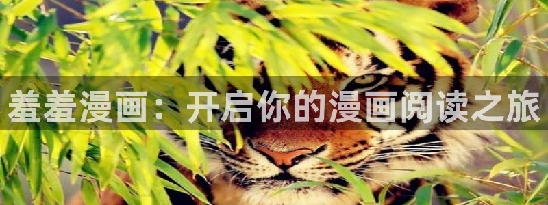 o站(omofun)官网