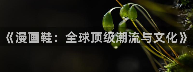 omofun免费正版下载：《漫画鞋：全球顶级潮流与文化》