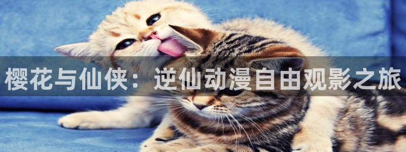 omofun动漫下载最新：樱花与仙侠：逆仙动漫自由观影之旅