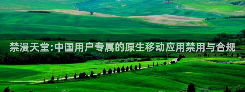 omofun动漫王国：禁漫天堂:中国用户专属的原生移动应用禁用与合规