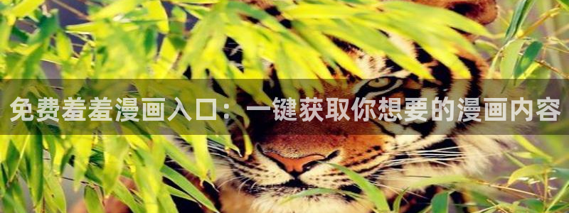 omofun在线观看动漫：免费羞羞漫画入口：一键获取你想要的漫画内容