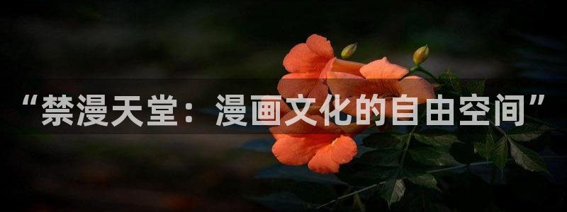 omofun\\：“禁漫天堂：漫画文化的自由空间”