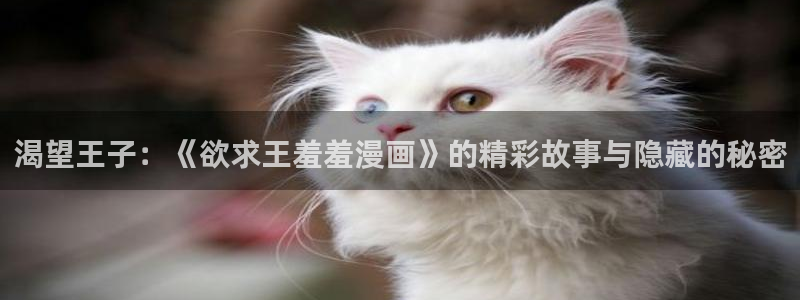omofun 在线观看：渴望王子：《欲求王羞羞漫画》的精彩故事与隐藏的秘密