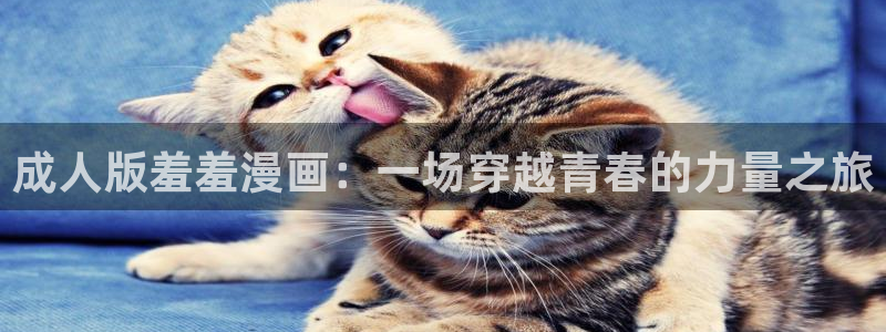 omofun最新：成人版羞羞漫画：一场穿越青春的力量之旅