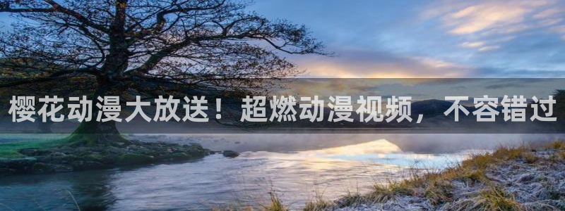 #omofun：樱花动漫大放送！超燃动漫视频，不容错过