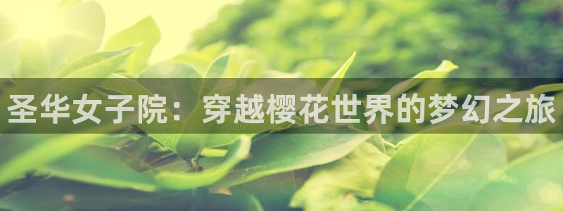omofun怎么下：圣华女子院：穿越樱花世界的梦幻之旅