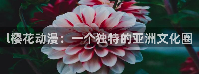 囧次元下载链接：l樱花动漫：一个独特的亚洲文化圈