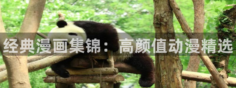 omofun下载官网入口：经典漫画集锦：高颜值动漫精选